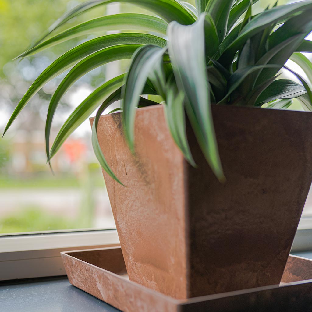 Ella Artstone Plant Pot - Oak On Windowsill