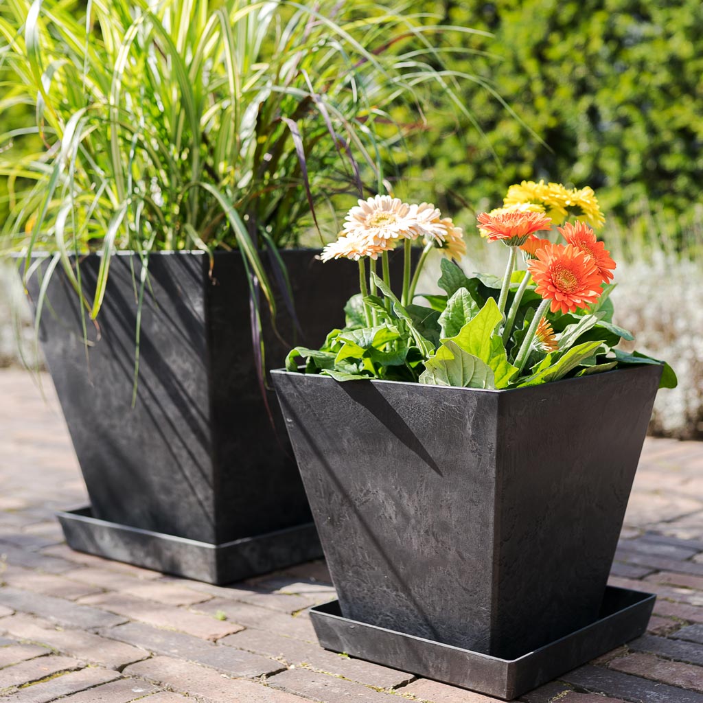 plant pot and saucers Ella Artstone Square Plant Pot Saucer - Black | Hortology