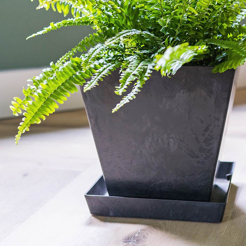 Ella Artstone Square Plant Pot Saucer - Black | Hortology - HORTOLOGY