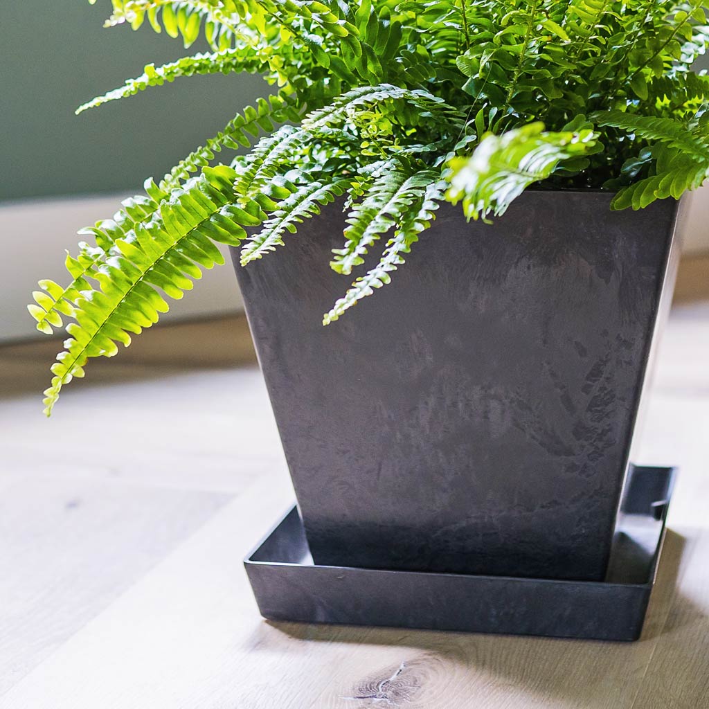 black square plant pot saucers Ella Artstone Square Plant Pot Saucer - Black | Hortology