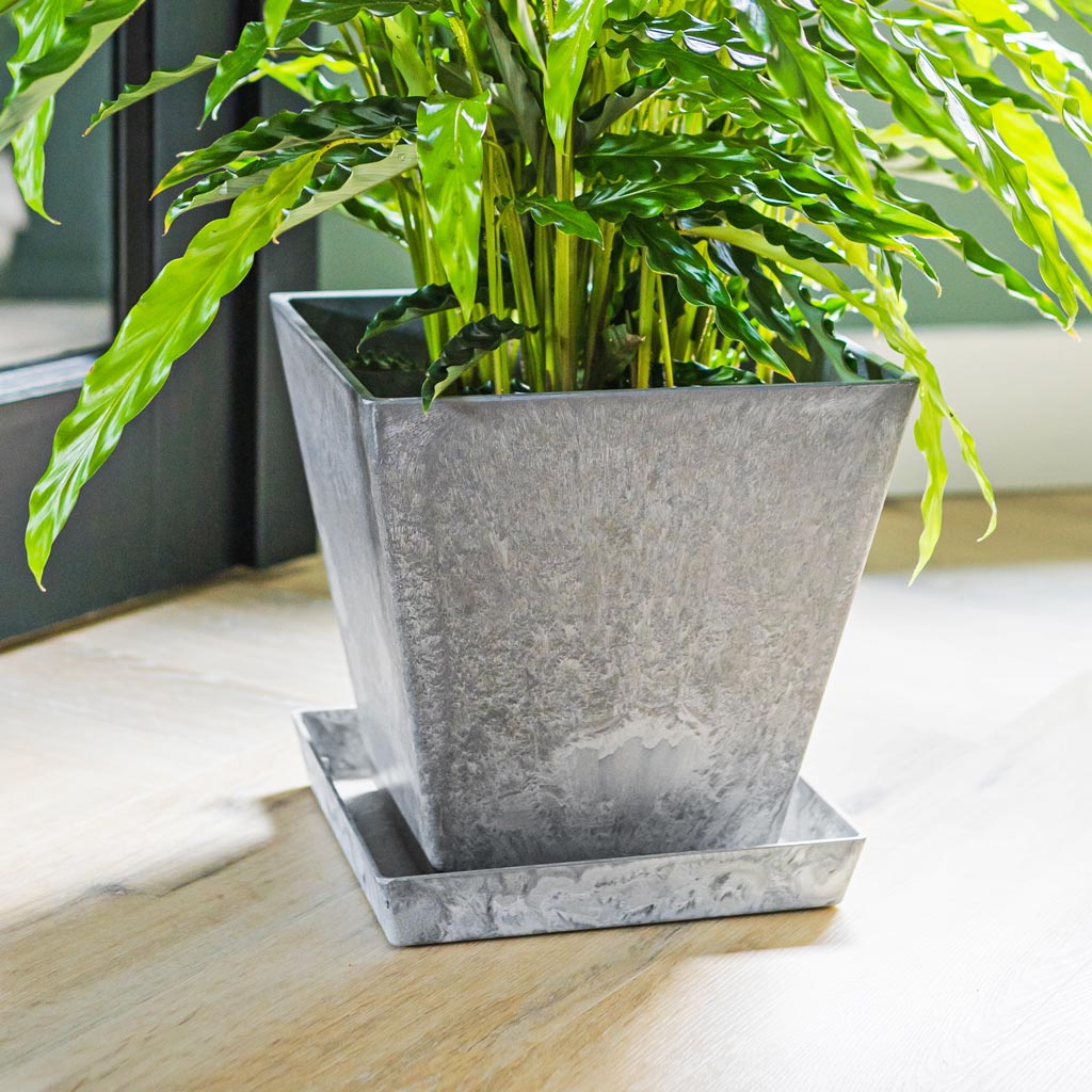 plant pot saucers grey Ella Artstone Square Plant Pot Saucer - Grey | Hortology