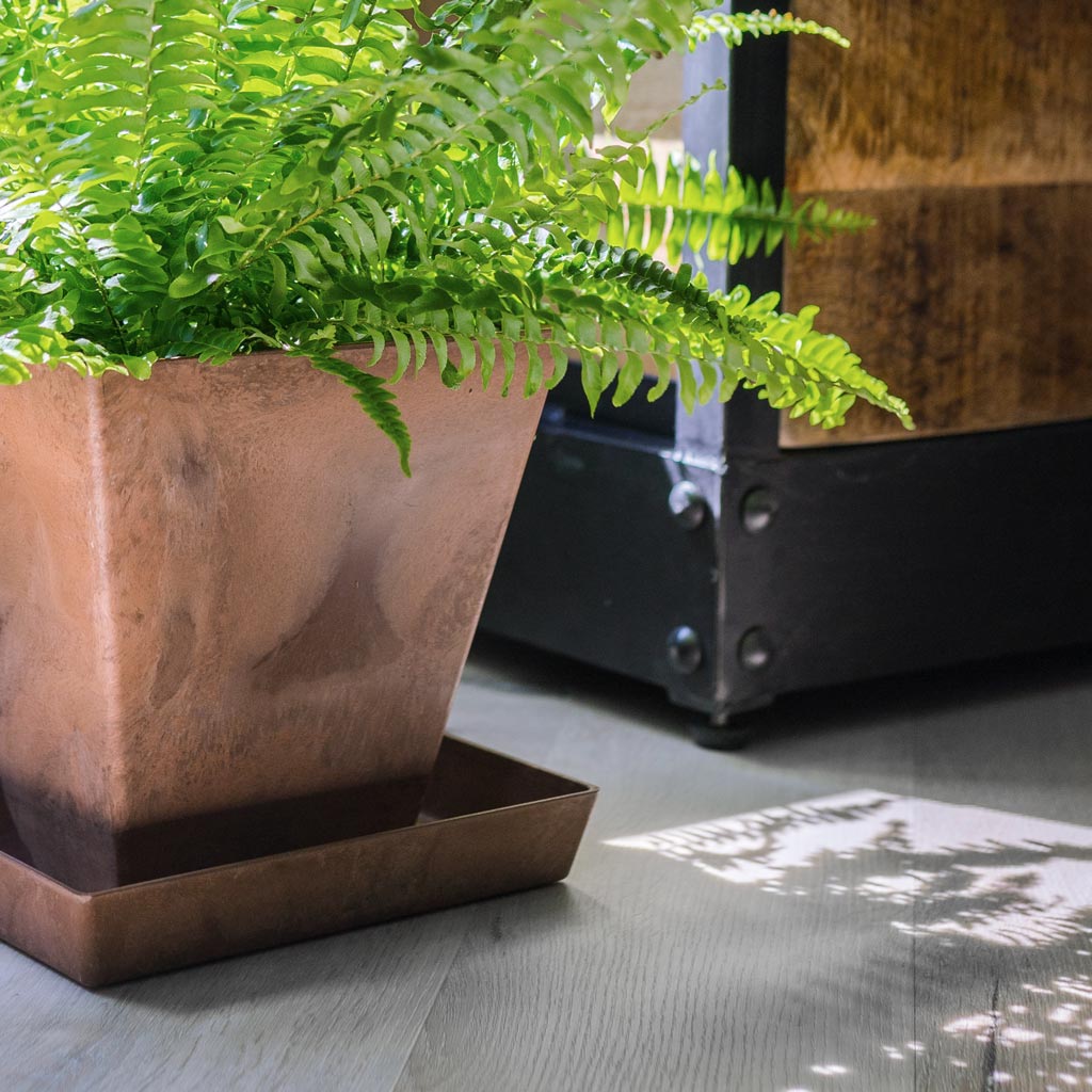 Ella Artstone Plant Pot Saucer - Oak & Ella Artstone PLant Pot WIth Boston Fern