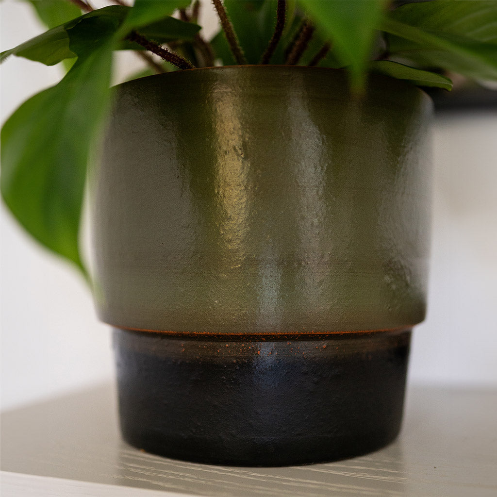 Erik Plant Pot - Olive Close Up