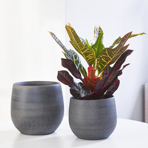Esra Plant Pots in Graphite & Croton