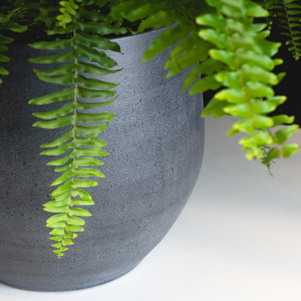 Esra Plant Pot - Graphite - Quality Indoor Plant Pots | Hortology ...