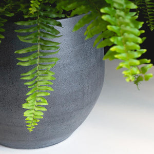 Esra Plant Pot - Graphite & Boston Fern