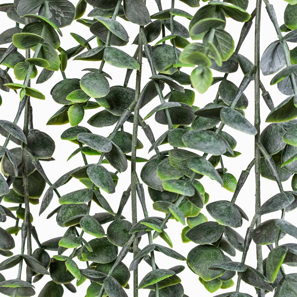 Eucalypthus Hanging Bush Artificial In Patt Hanging Pot Black Washed 