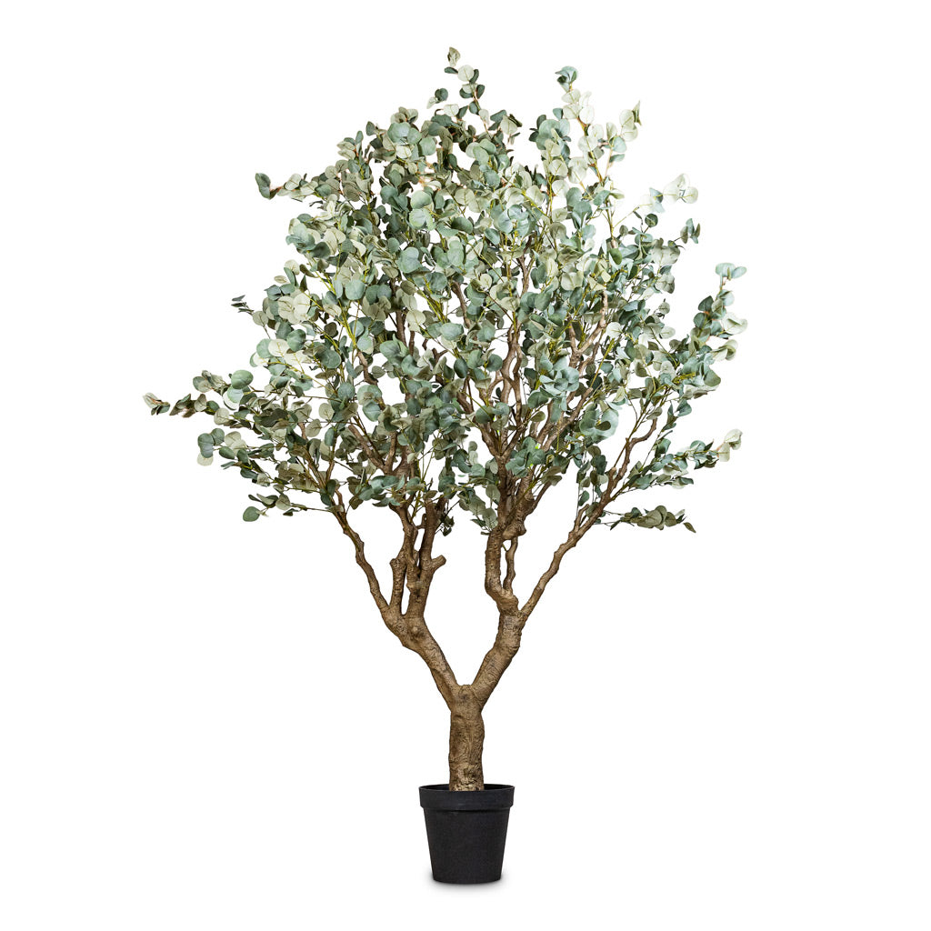 Eucalyptus Botanic Tree Potted Artificial 240cm