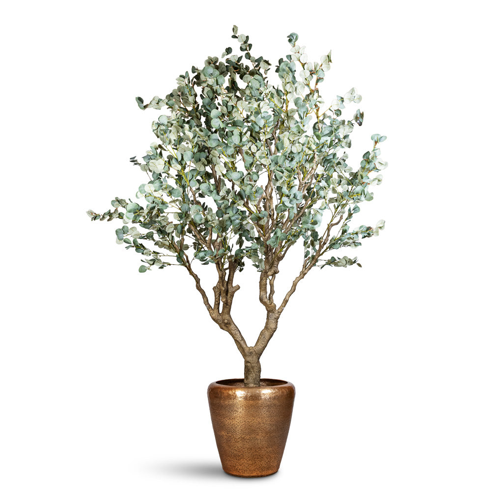Eucalyptus Botanic Tree Potted Artificial 240cm House Plant In Naya Metal Planter Gold 54x50cm