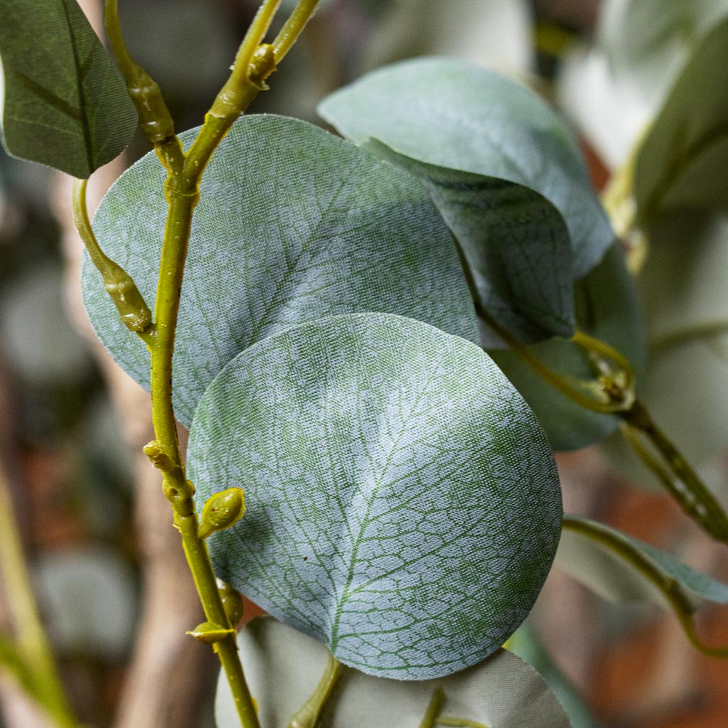 Eucalyptus Botanic Tree Potted Artificial Close up
