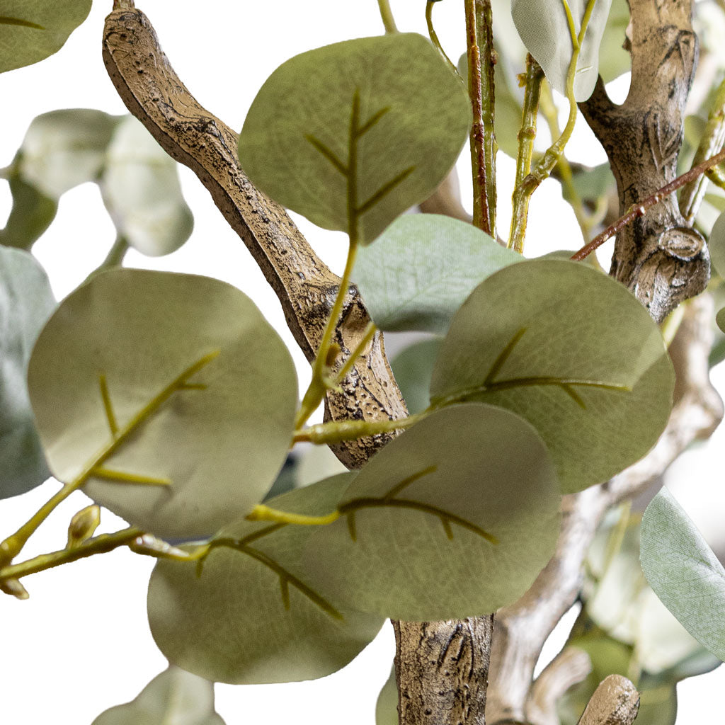 Eucalyptus Botanic Tree Potted Artificial Close up