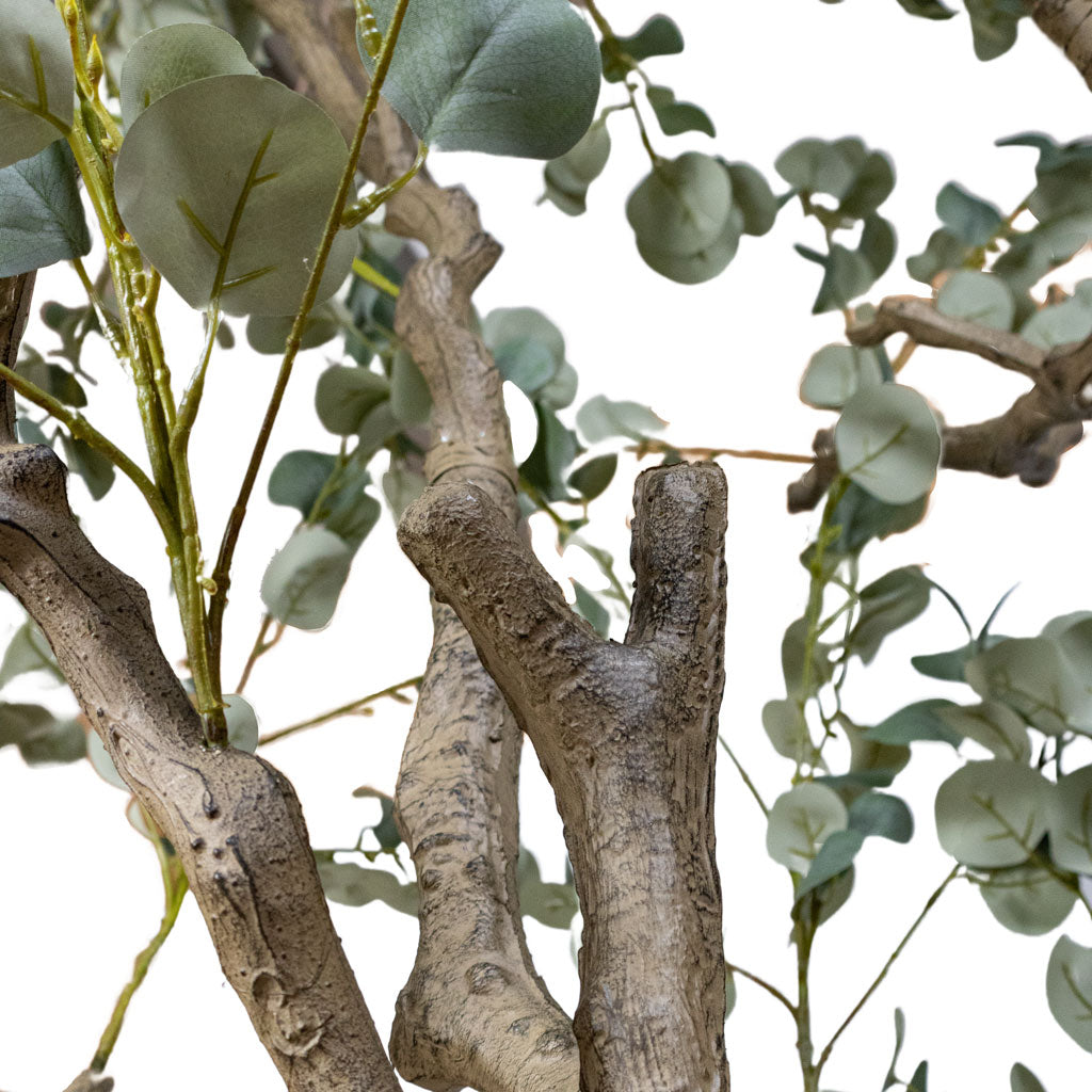 Eucalyptus Botanic Tree Potted Artificial Close up