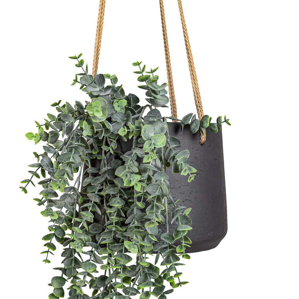 black hanging plant pot Patt Hanging Plant Pot - Black Washed - Quality Plant Pots | Hortology