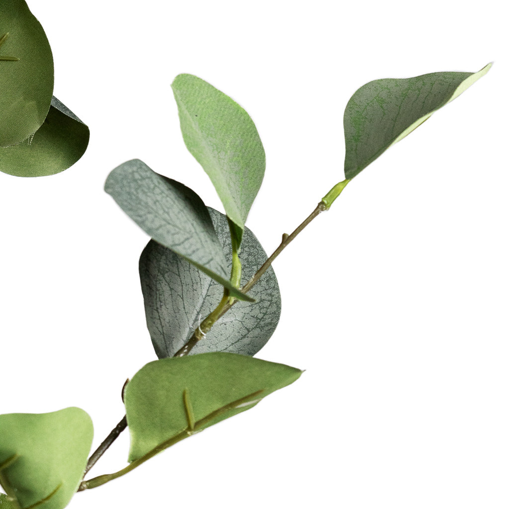 Eucalyptus Tree Artificial Close Up Of Leaf