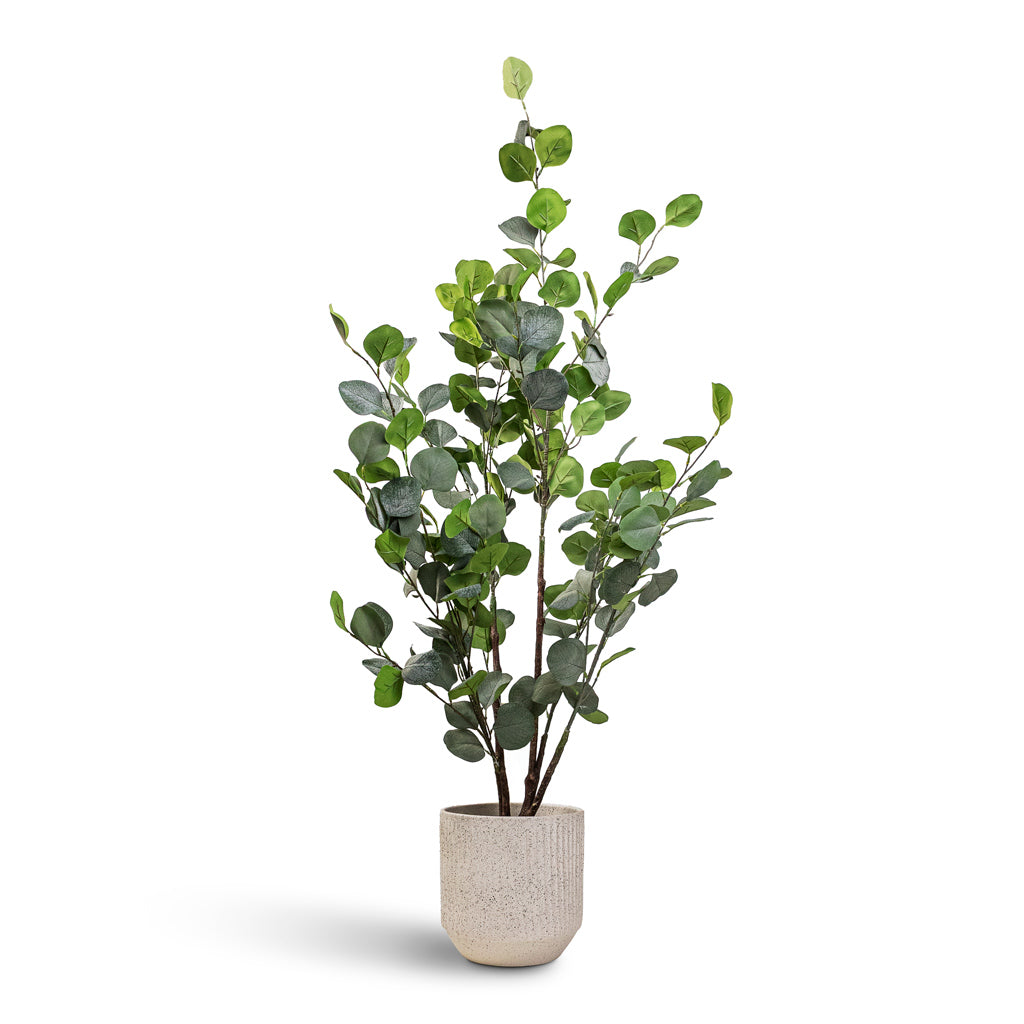 Eucalyptus Tree Artificial - 120cm Artificial Plant in Solento Pot White Speckle - 20x18.5cm