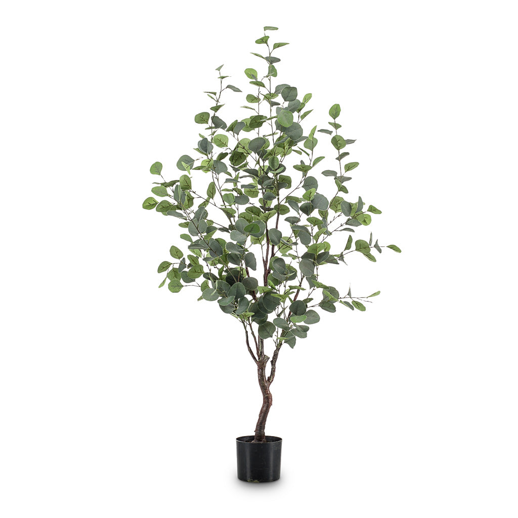 Eucalyptus Tree Artificial - 120cm