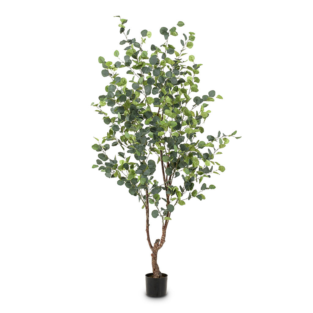 Eucalyptus Tree Artificial - 180cm
