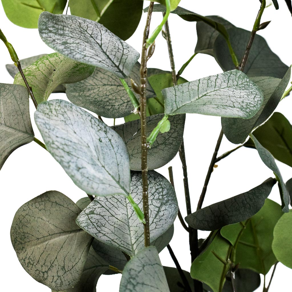 Eucalyptus Tree Artificial In Beatrice Pot Terracotta
