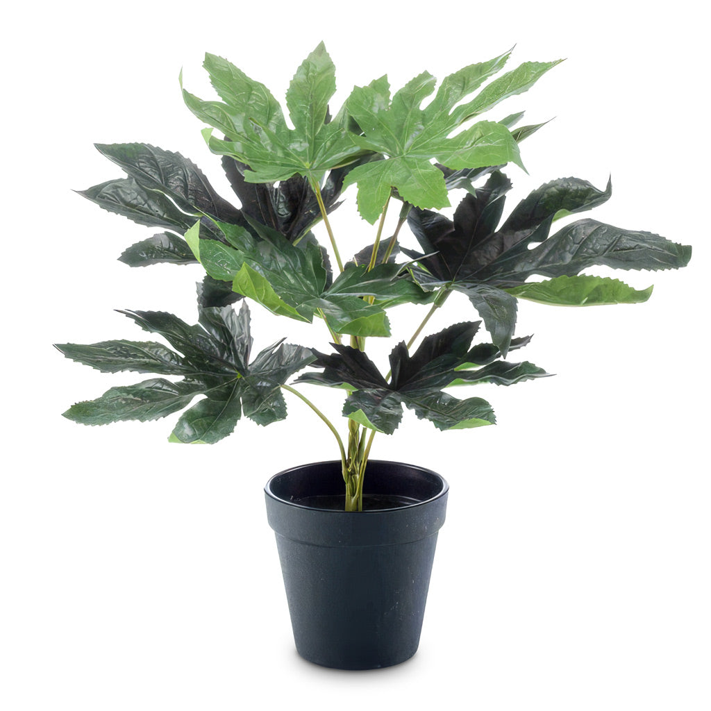 Fatsia Japanese Aralia Potted 30cm Artificial