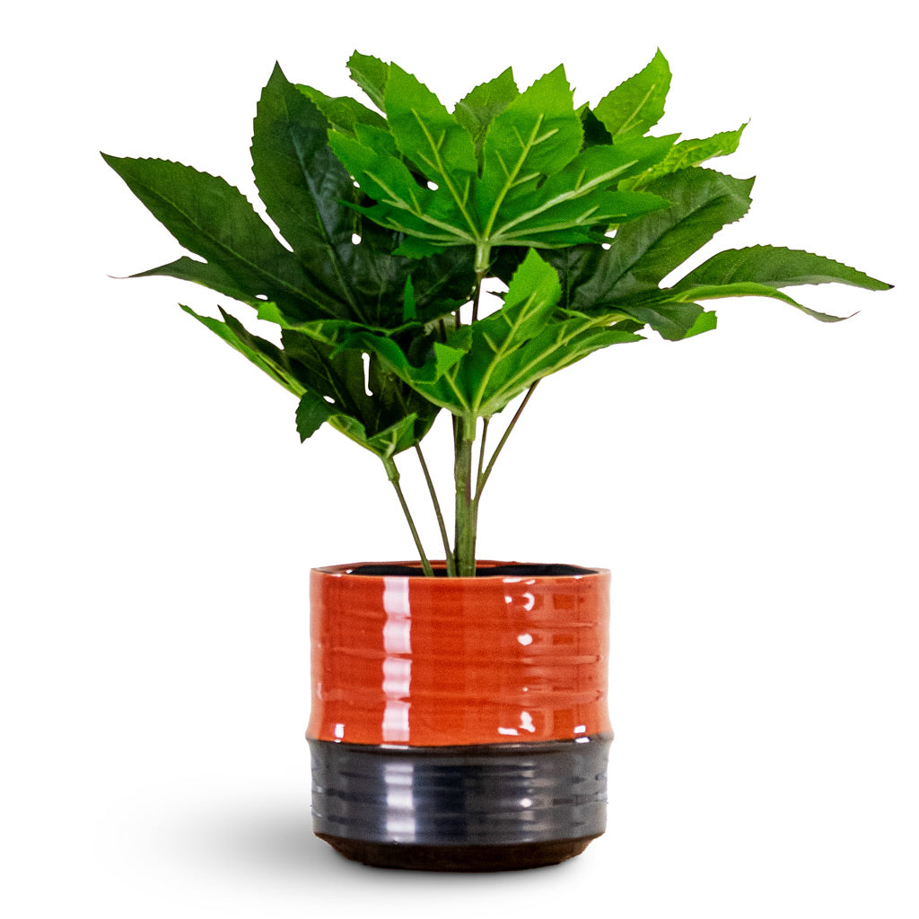 Fatsia Japanese Aralia Potted Artificial 30cm House Plant In Marlijn Pot Coral 14x13cm