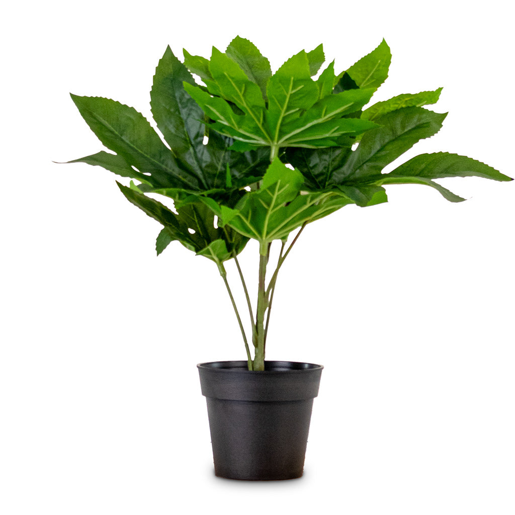 Fatsia Japanese Aralia Potted Artificial 30cm House Plant In Marlijn Pot Coral 14x13cm