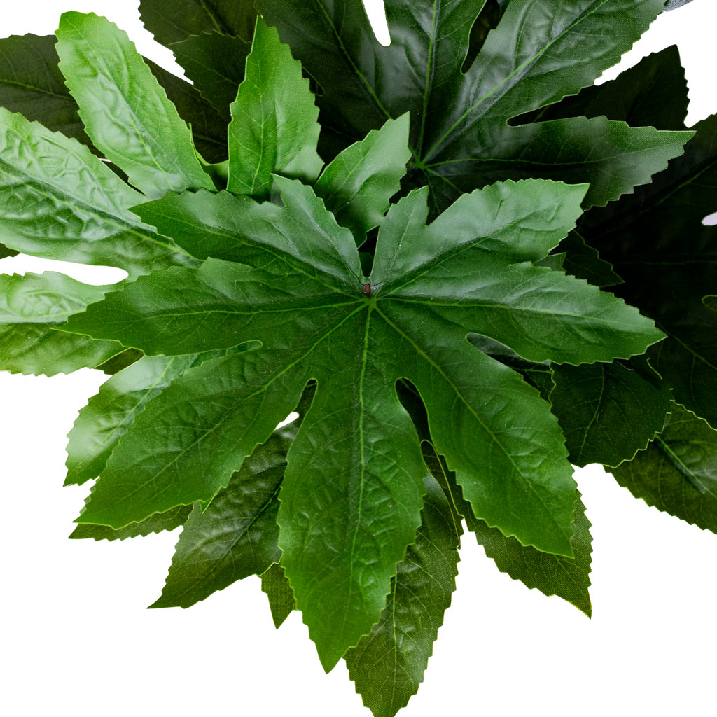 Fatsia Japanese Aralia Potted Artificial Close up