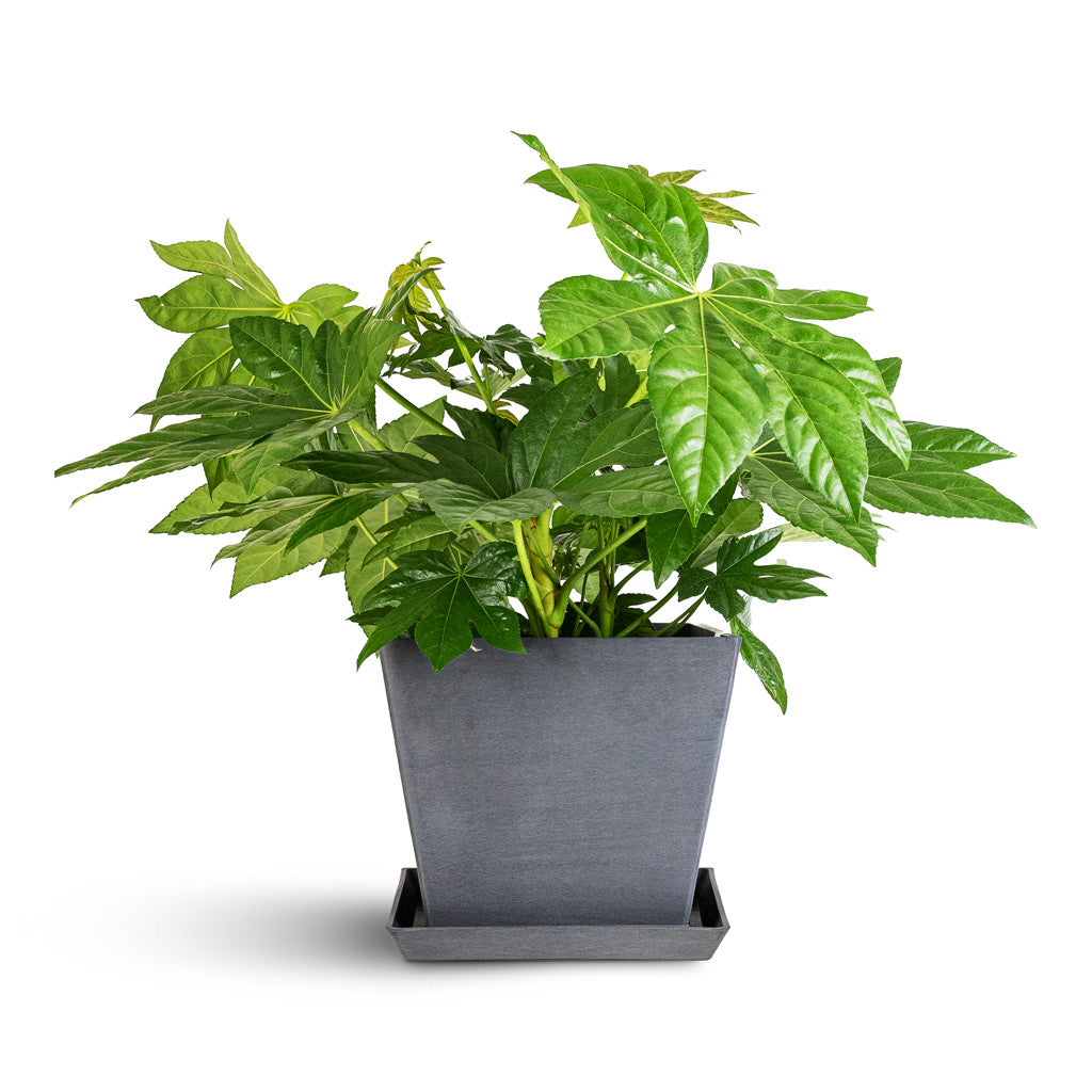 Cubed Plant Pot Saucer Grey 18x18x3cm