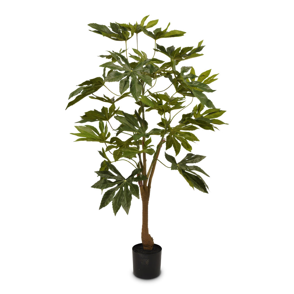 Fatsia japonica Potted Artificial 120cm