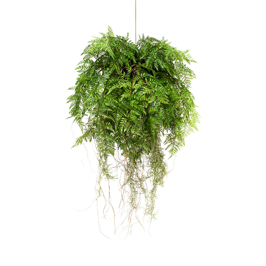 Fern Roots Hanging Artifical - 35cm