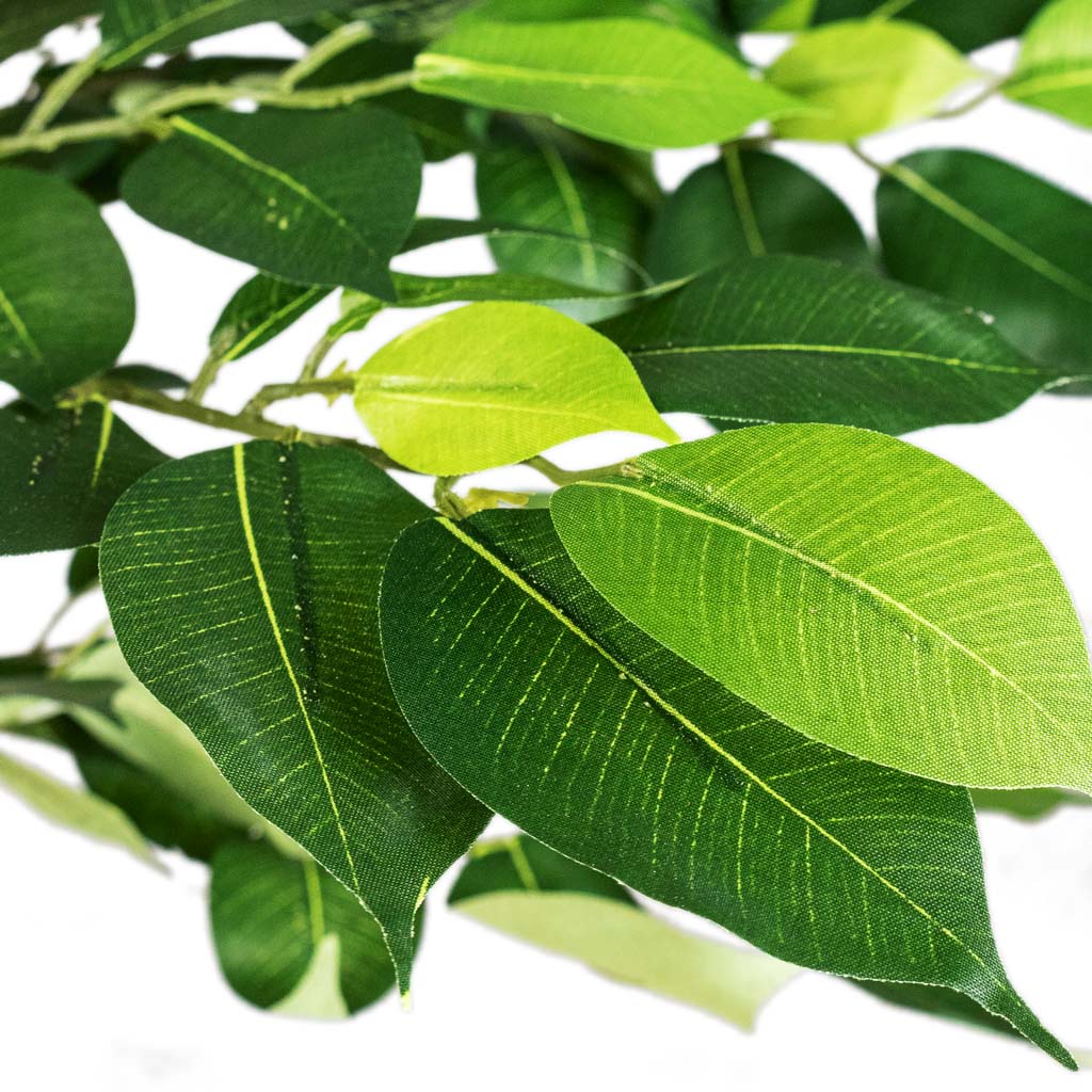 Ficus Deluxe Vine Tree Artificial Close Up Of Leaves