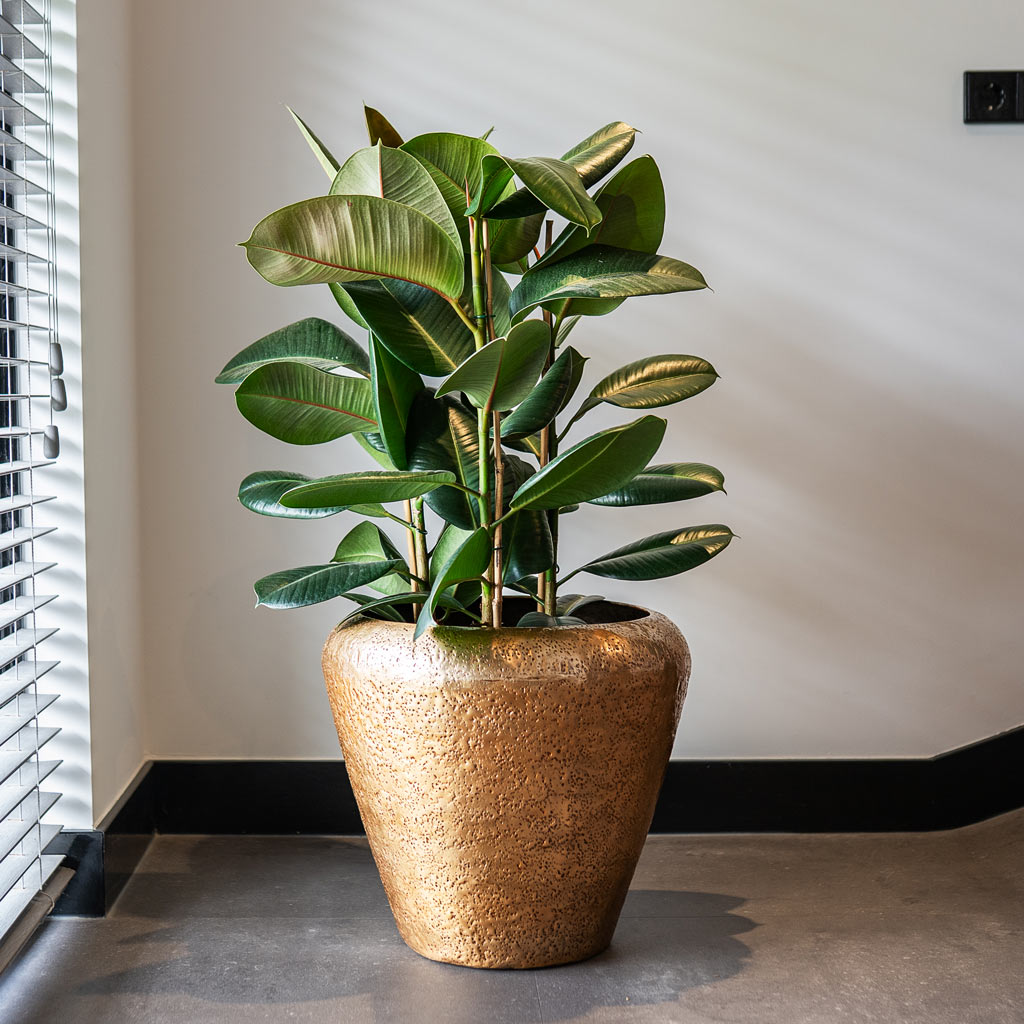 Naya Metal Planter Gold Plant Pot