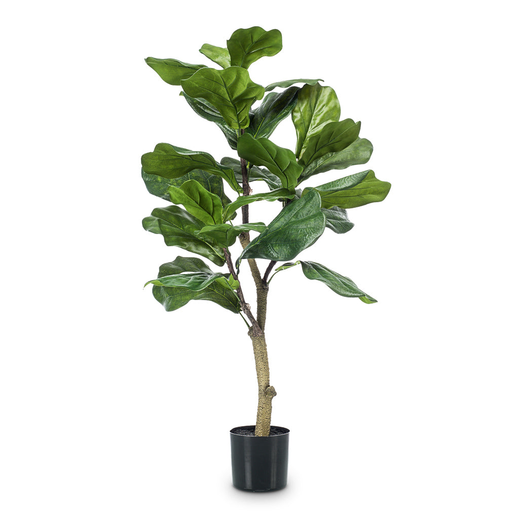 Ficus Lyrata Artificial - 90cm