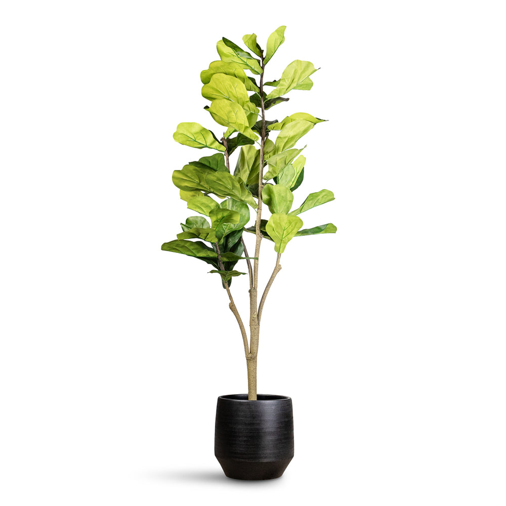 Ficus lyrata - Fiddle Leaf Fig - Quality Artificial Plants | HORTOLOGY
