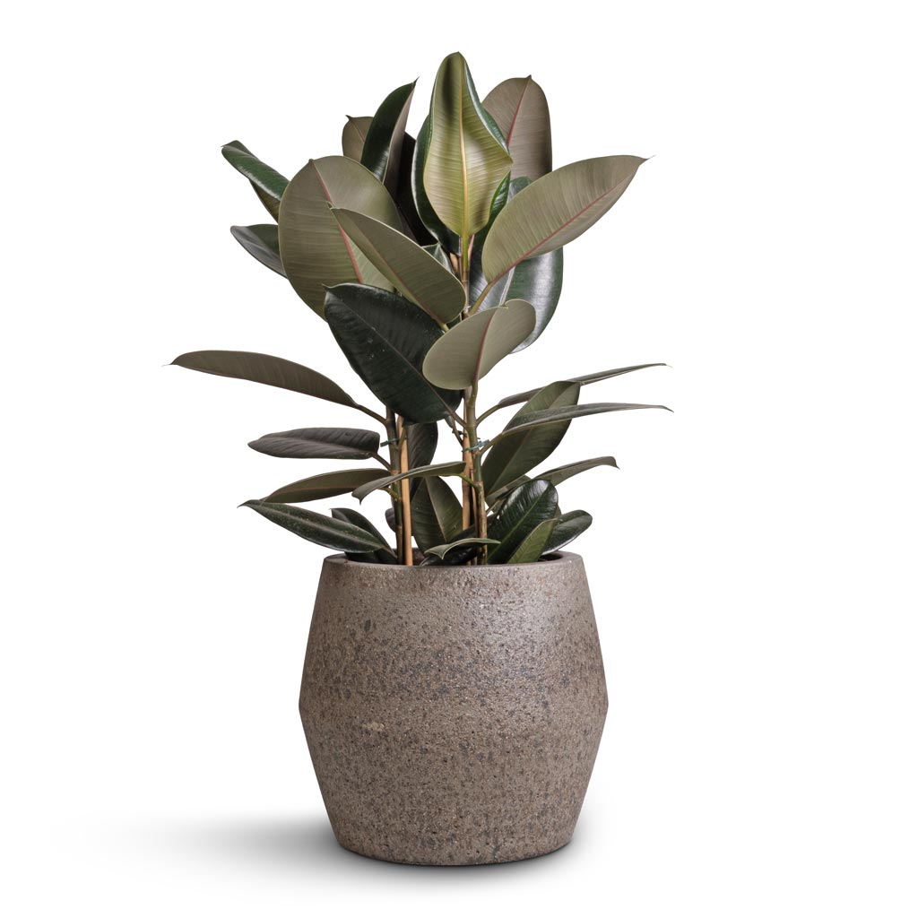 Cement & Stone Harley Plant Pot - Granite Grey