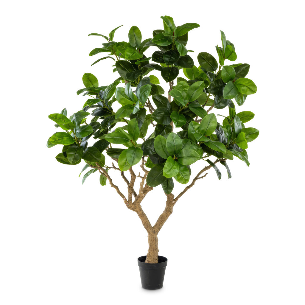 Ficus elastica Botanic Tree Potted Artificial 240cm