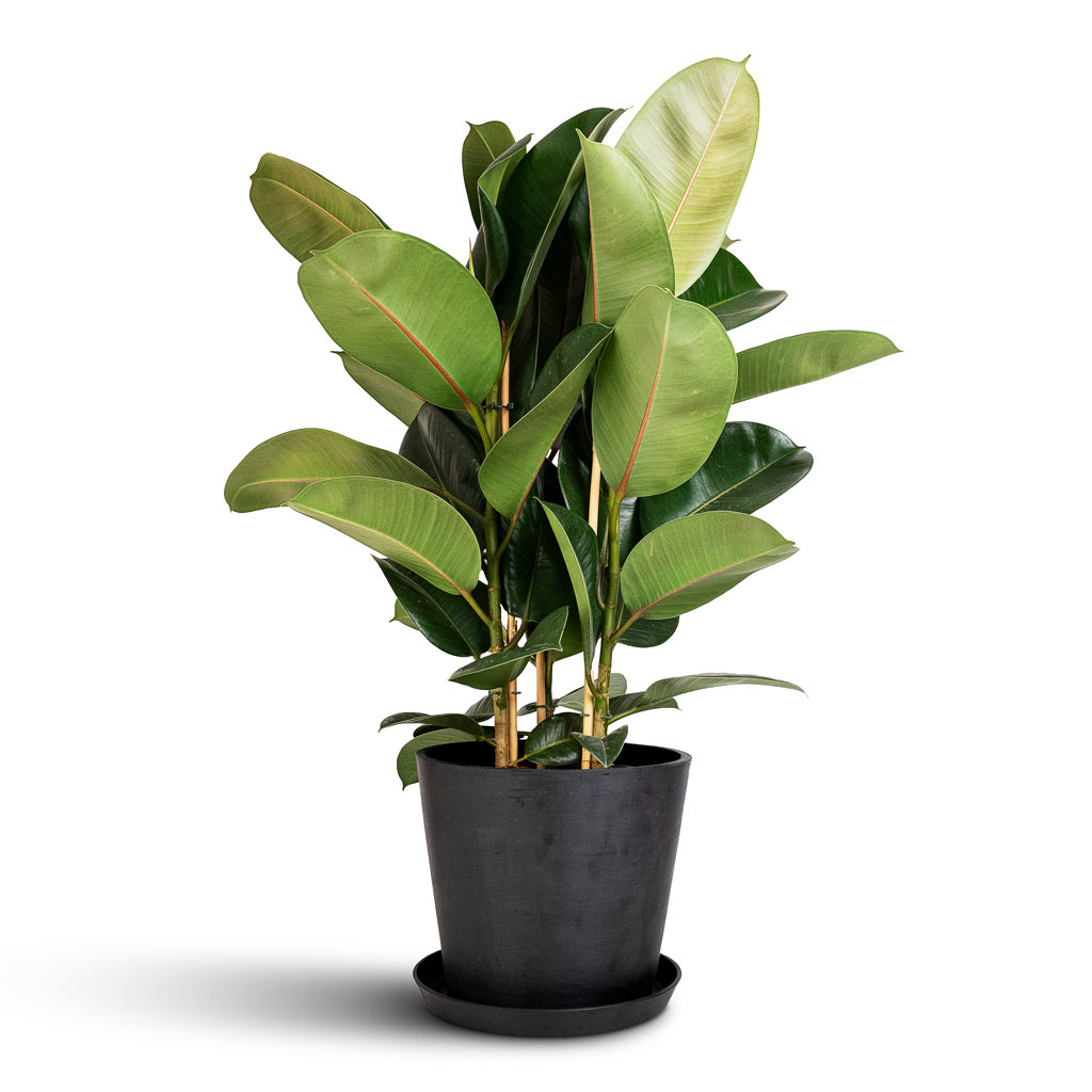 Amsterdam Bucket Planter - Slate