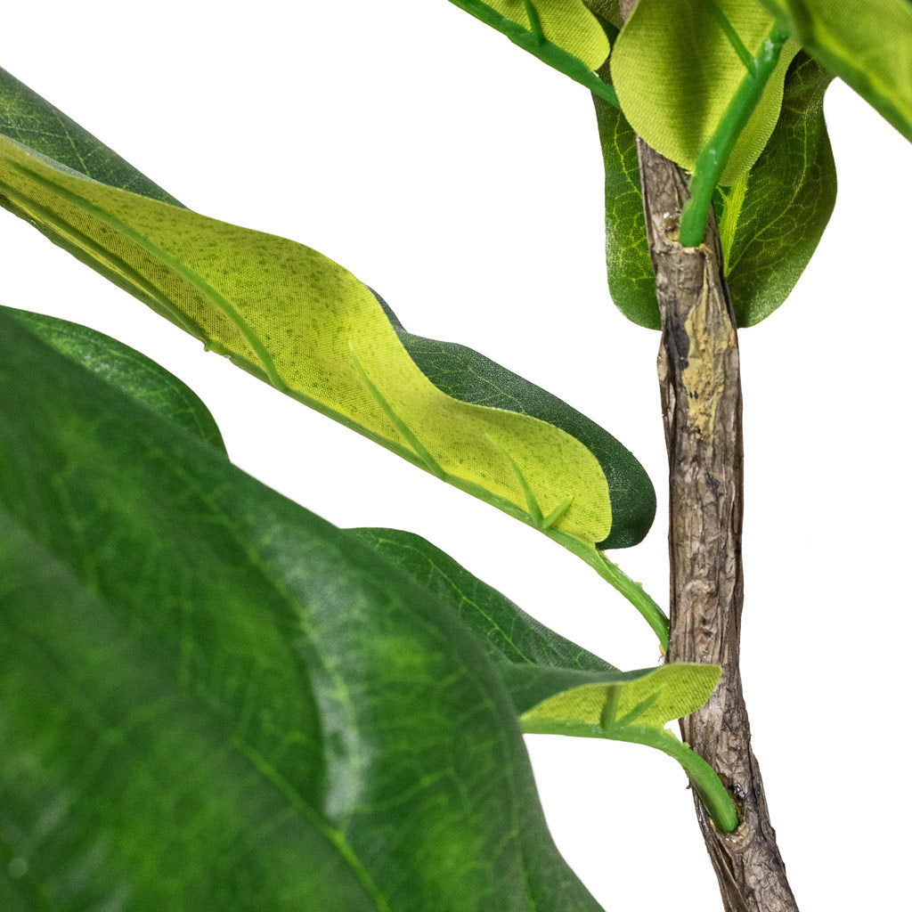 Ficus lyrata - Fiddle Leaf Fig - Quality Artificial Plants | HORTOLOGY