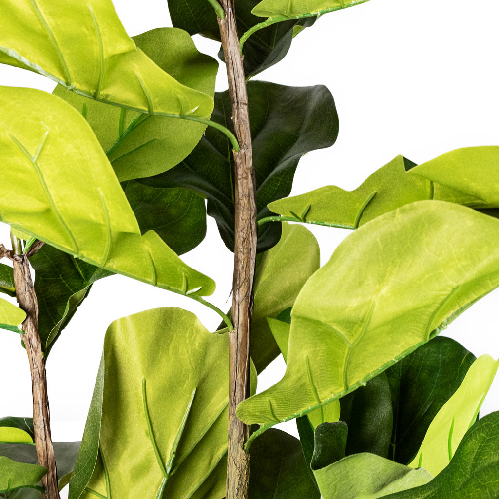 Ficus lyrata Fiddle Leaf Fig Artificial Close Up Of Leaves 
