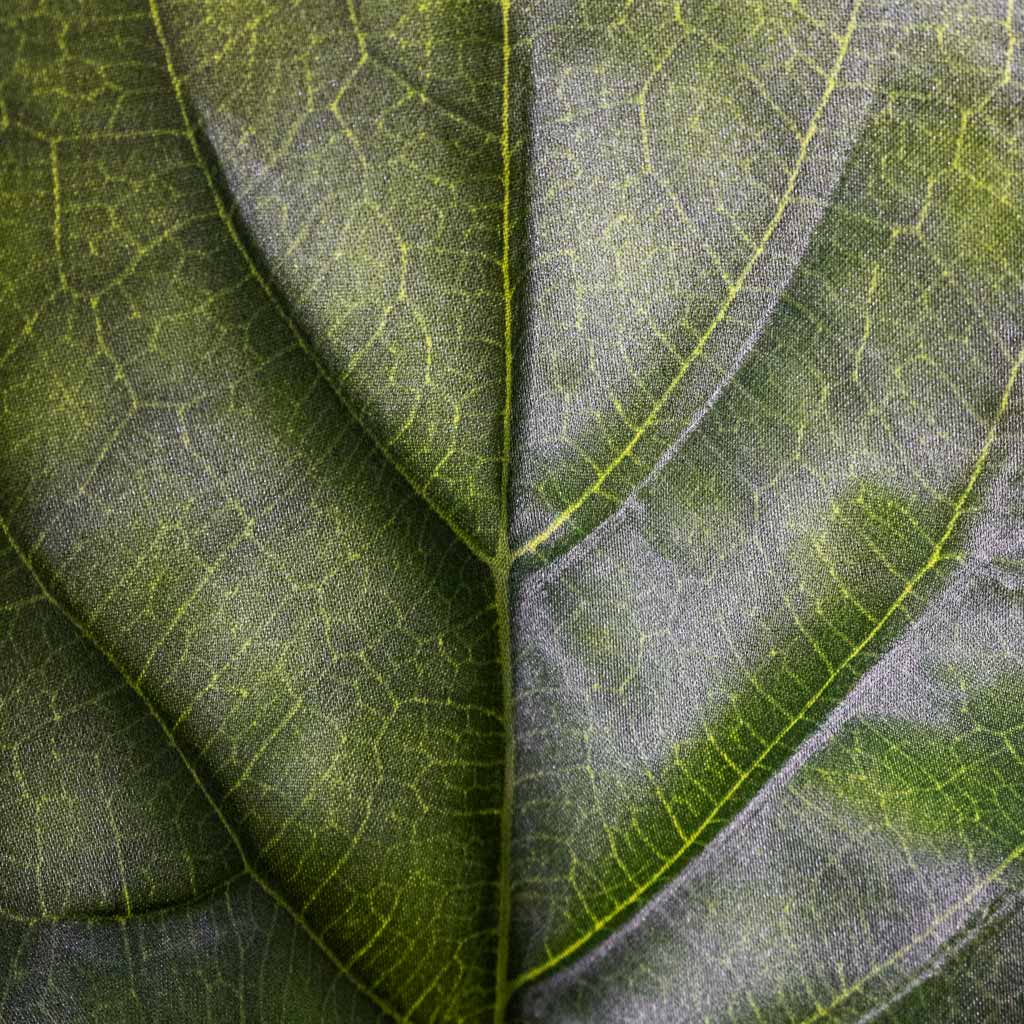 Ficus lyrata Fiddle Leaf Fig Artificial Close Up of Leaf 