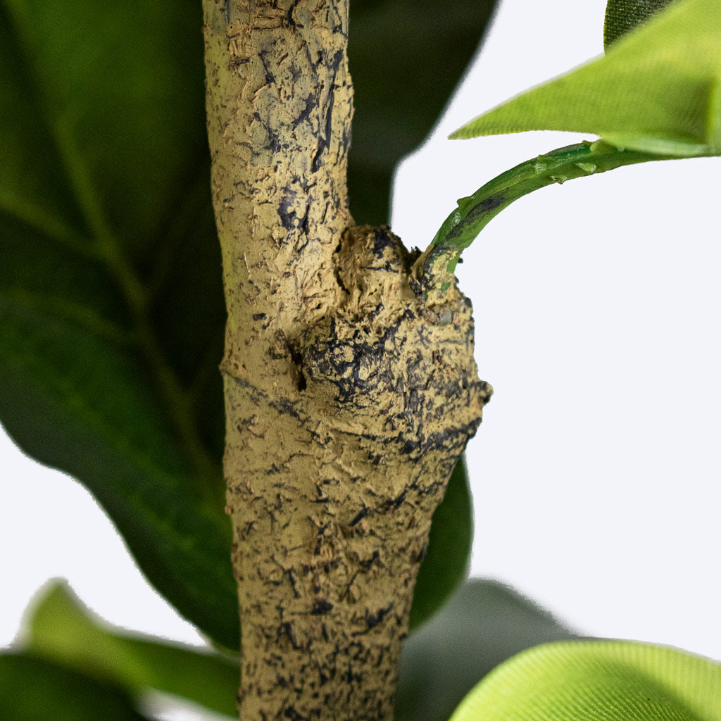 Ficus lyrata Fiddle Leaf Fig Artificial - DETAILS