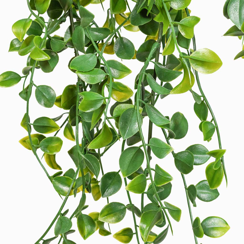 Ficus pumila Hanging Bush Artificial 80cm (6 stems) Close Up 

