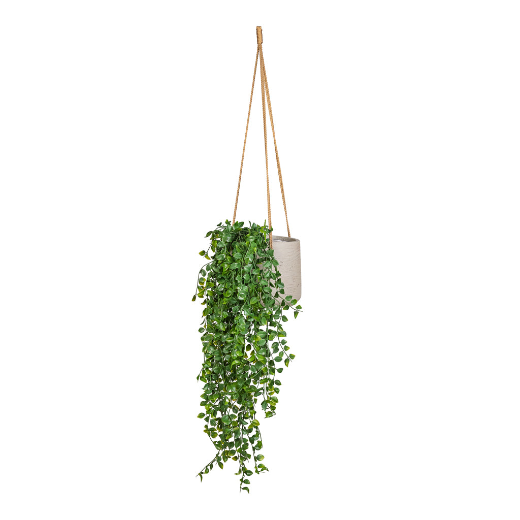 Ficus pumila Hanging Bush Artificial  (6-stems) In Patt Hanging Pot Grey Washed