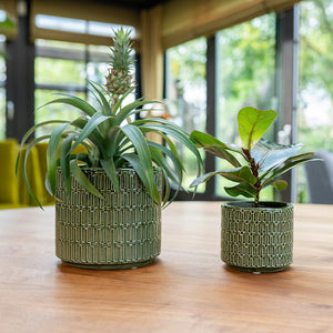 Flor Plant Pot - Green & Houseplants