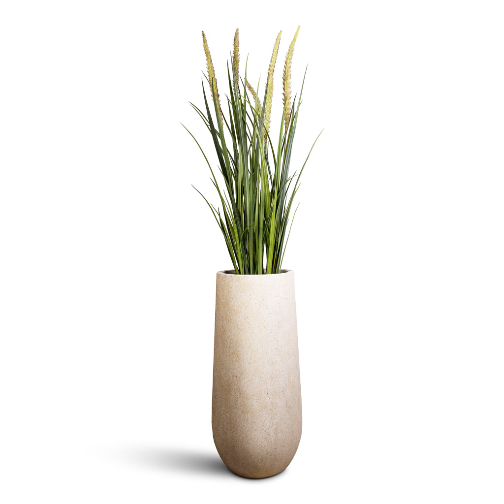 Foxtail Grass Artificial  (5 stems) In Nax Mineral Tall Planter Travertine
