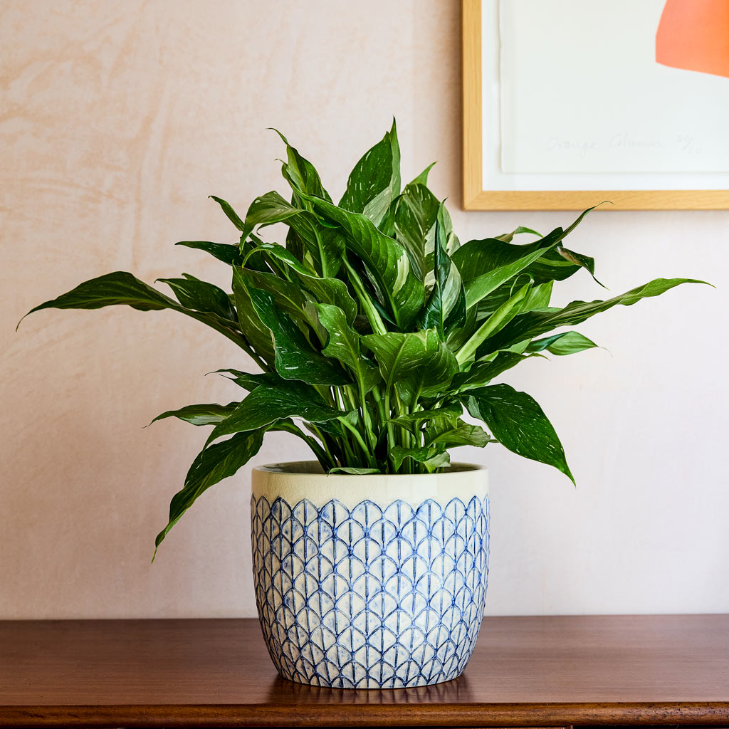 Geo Pot Creme Blue - 20x18cm