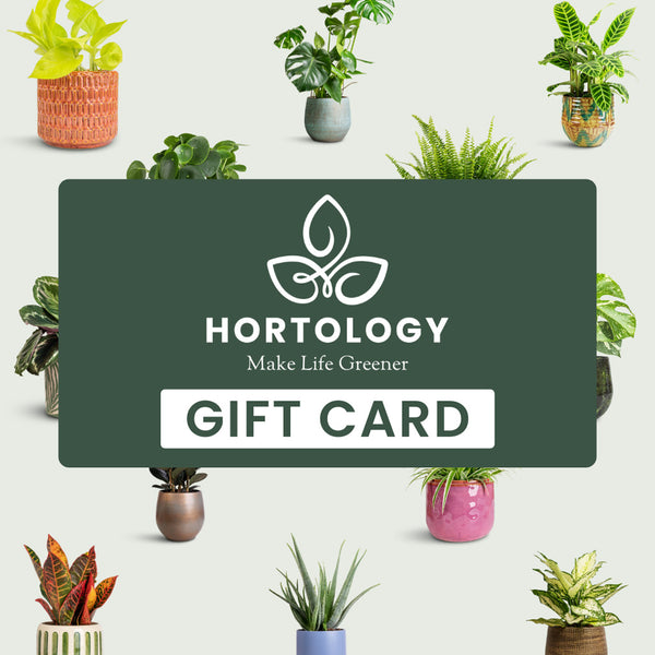 house plant gift card Gardening Gift Vouchers - Give A Gift That Grows | Hortology