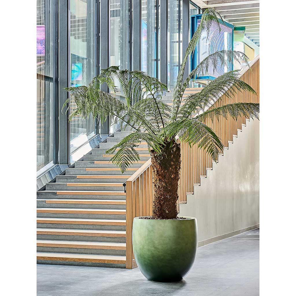 Gradient Balloon Planter - Matt Forest Green