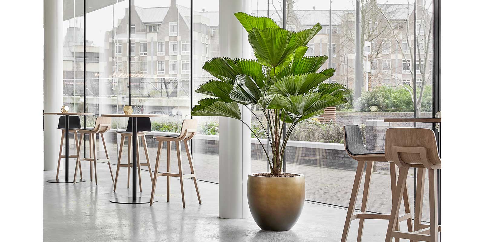 Gradient Balloon Planter Matt Honey