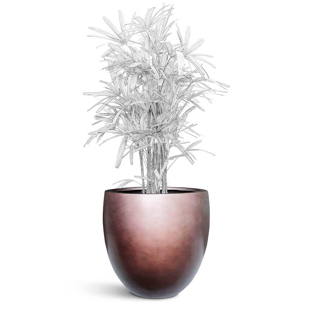 Gradient Balloon Planter - Large Plant Display