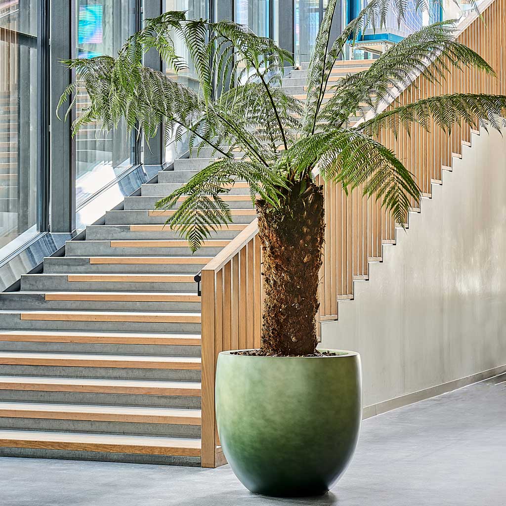 Gradient Balloon Planter - Matt Forest